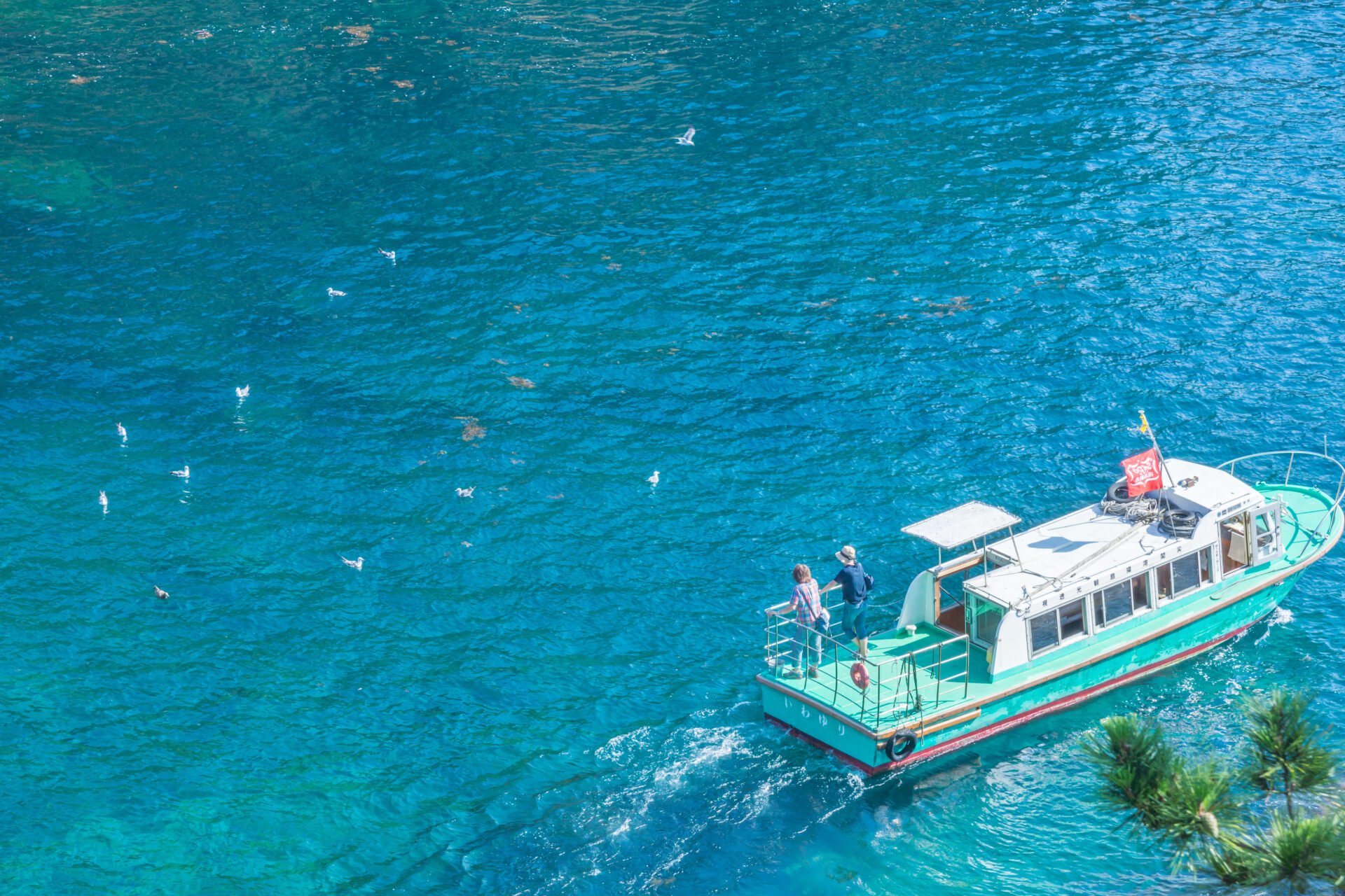 🏞️ 센카쿠만 아게시마 유원지(센카쿠완 아게시마 유엔) 이미지 7